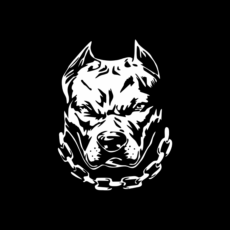 Motorcycle Gear For Dogs - Divertida cabeza de perro, ventana de