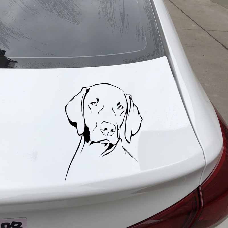 Motorcycle Gear For Dogs - Vinilo Adhesivo Impermeable con Diseño de