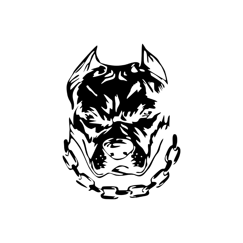 Divertida cabeza de perro, ven - Motorcycle Gear For Dogs reseña y precio