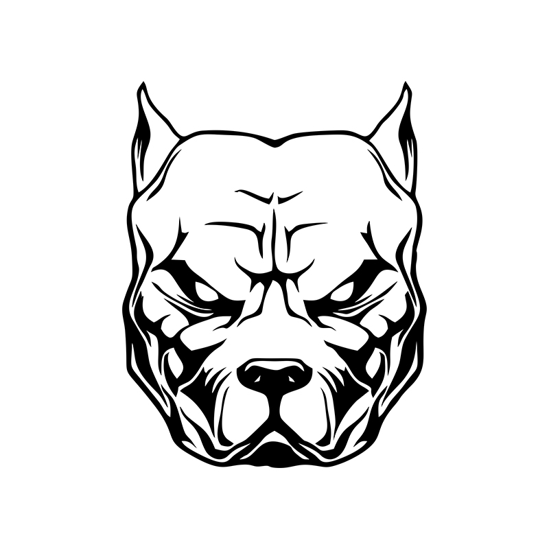 Pegatina de motocicleta con di - Motorcycle Gear For Dogs reseña y precio