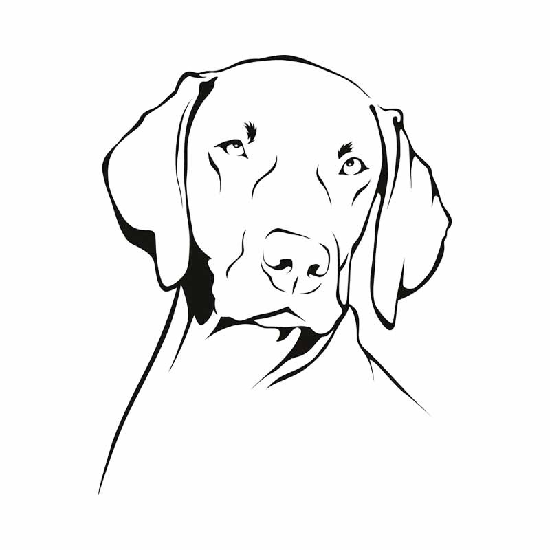 Vinilo Adhesivo Impermeable co - Motorcycle Gear For Dogs reseña y precio