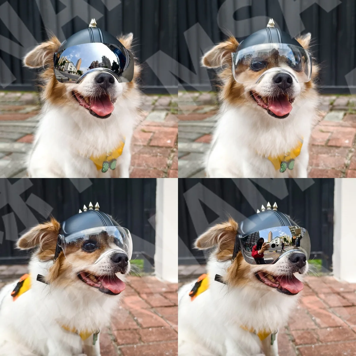 Casco y Gafas de Motocicleta 2 - Motorcycle Gear For Dogs reseña y precio