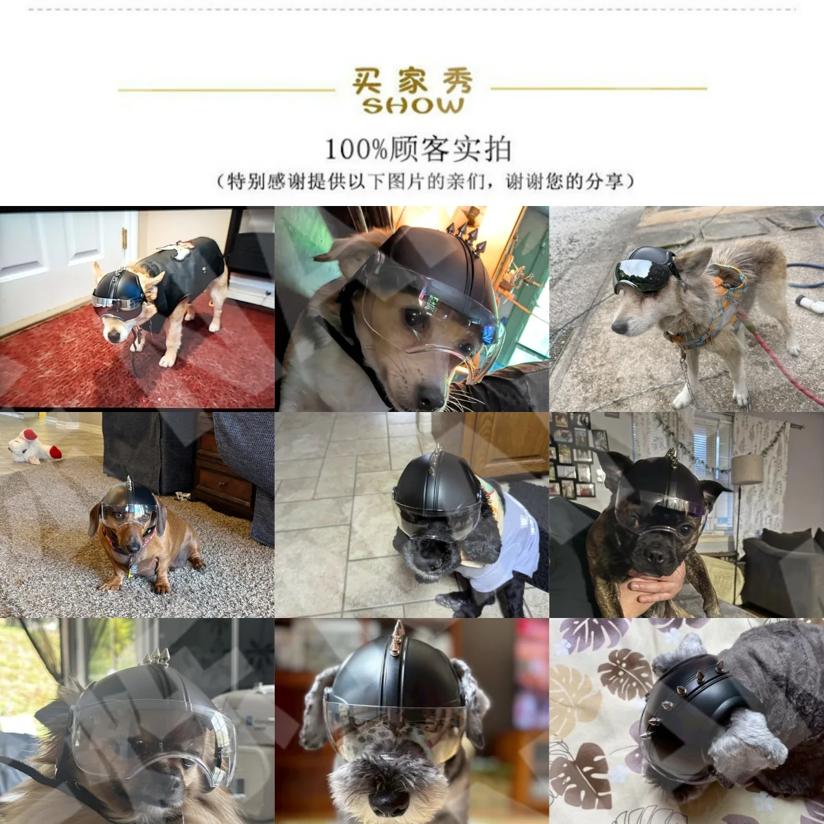 Casco y Gafas de Motocicleta 2 - Motorcycle Gear For Dogs reseña y precio