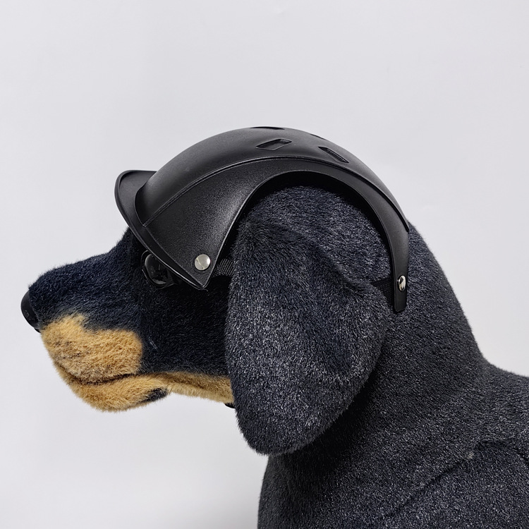 Casco de seguridad para perros - Motorcycle Gear For Dogs reseña y precio