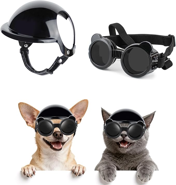 Casco de Motocicleta para Gato - Motorcycle Gear For Dogs reseña y precio