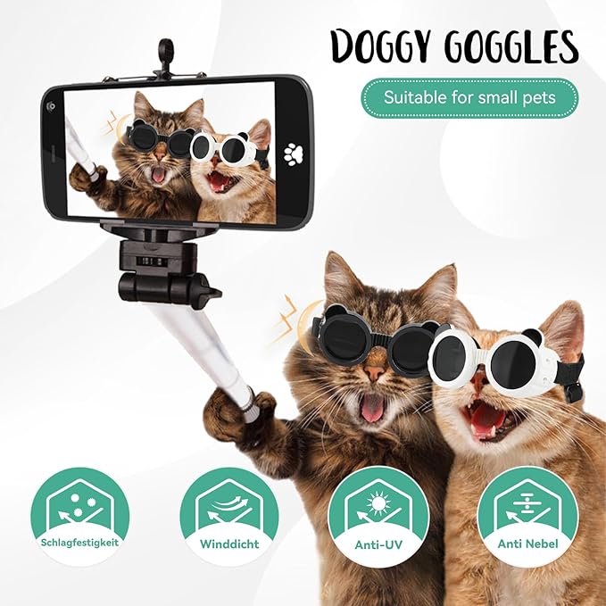 Casco de Motocicleta para Gato - Motorcycle Gear For Dogs reseña y precio