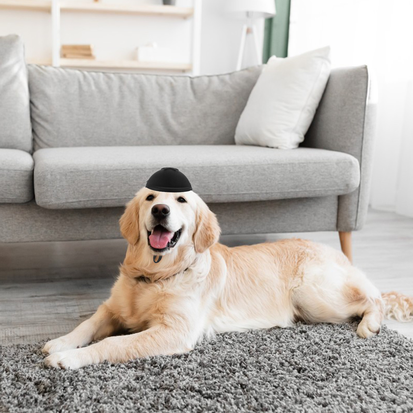 Gorra de seguridad ajustable p - Motorcycle Gear For Dogs reseña y precio
