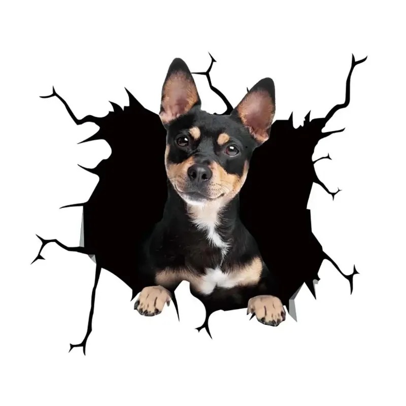 1Pc - Adhesivo de vinilo imper - Motorcycle Gear For Dogs reseña y precio
