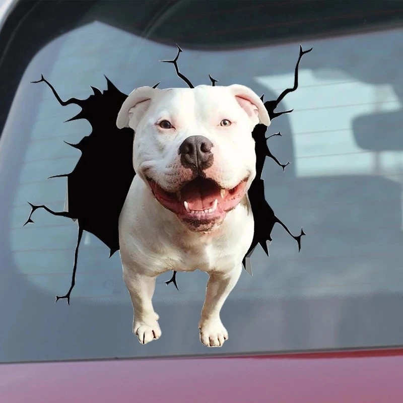 1Pc - Adhesivo de vinilo imper - Motorcycle Gear For Dogs reseña y precio